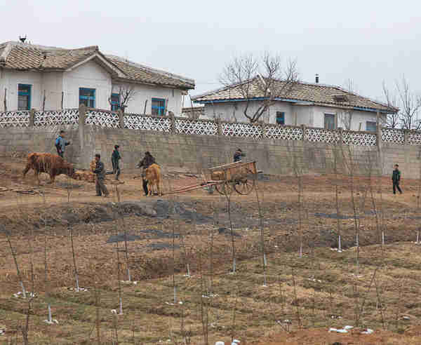Farm workers in North Korea (Michael Havis)