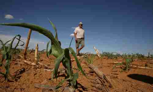 White farmer in South Africa (Reuters)